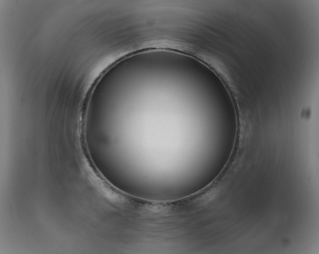 X0000111821040200907231313