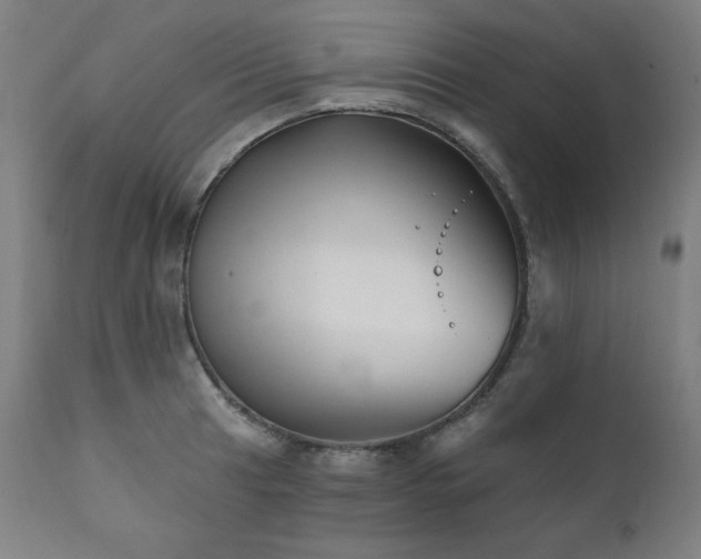 X0000111821041200907231313