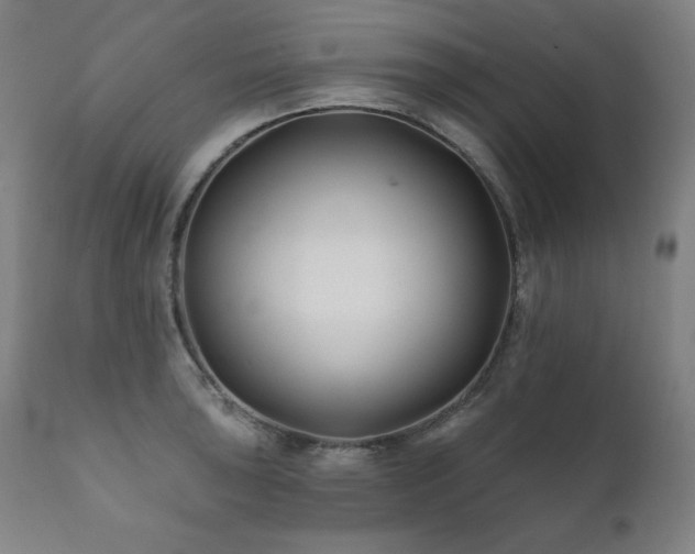 X0000111821043200907231313