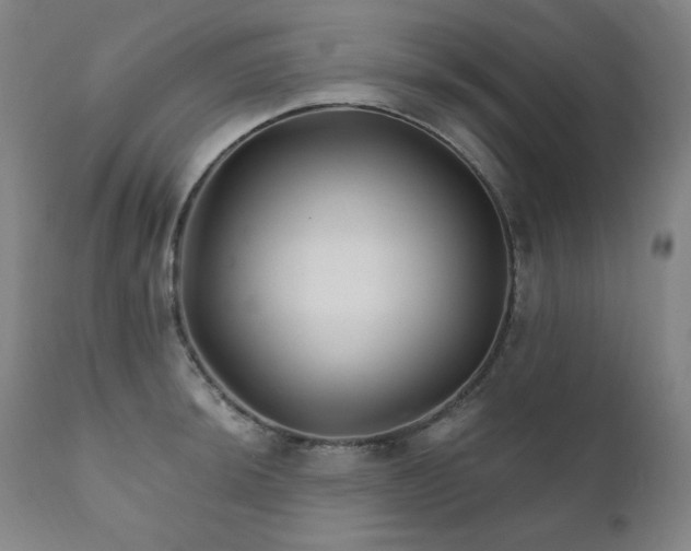 X0000111821044200907231313