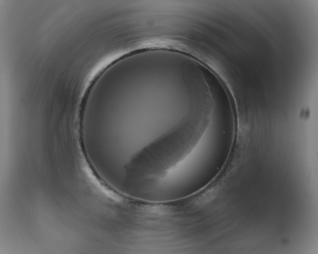 X0000111821045200907231313