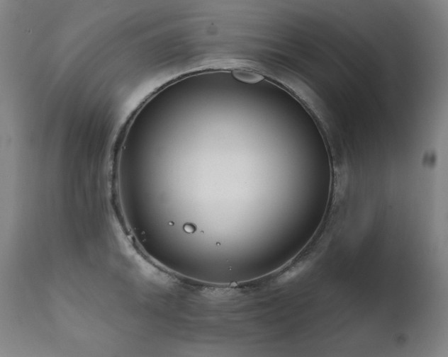 X0000111821046200907231313