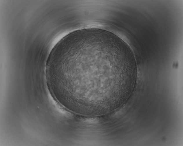 X0000111821047200907231313