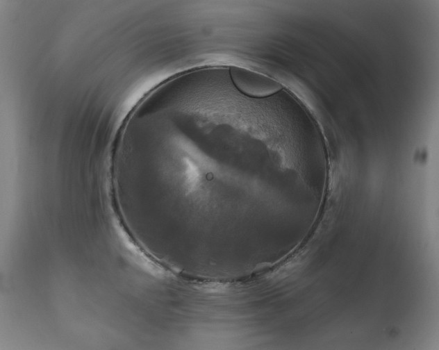 X0000111821048200907231313