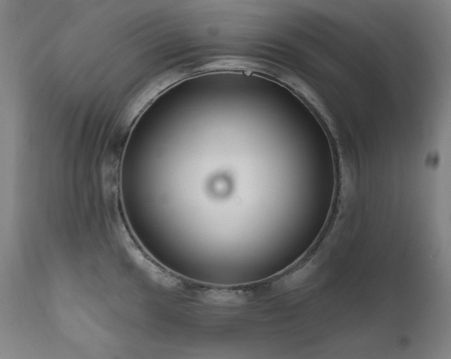 X0000111821049200907231313