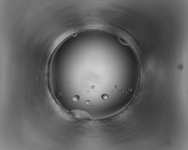 X0000111821050200907231313