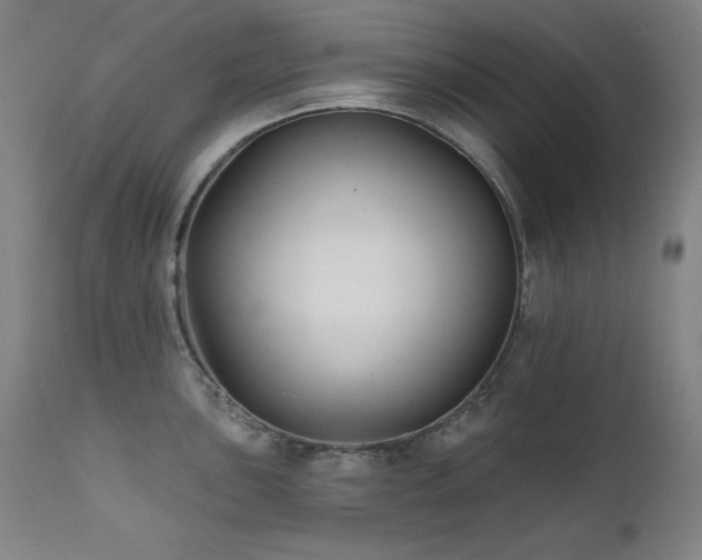 X0000111821051200907231313