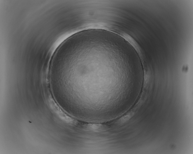 X0000111821052200907231313