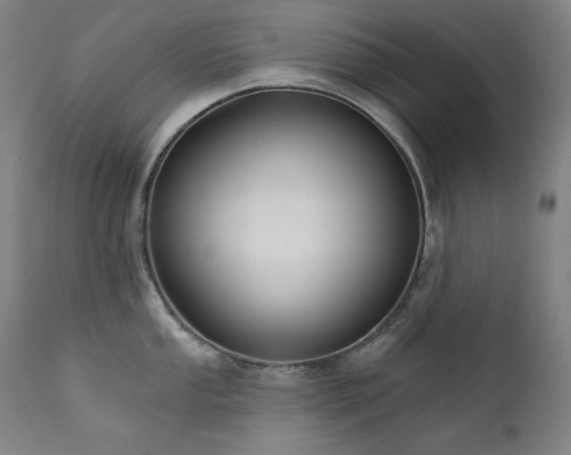 X0000111821053200907231313