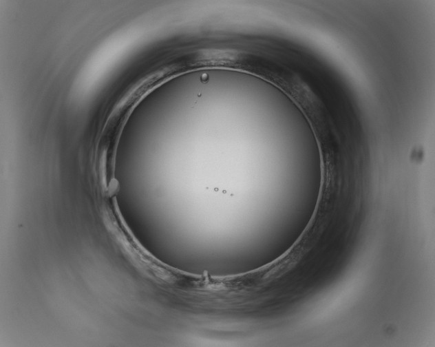 X0000111821054200907231313