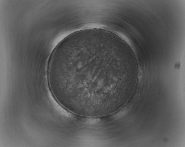 X0000111821055200907231313