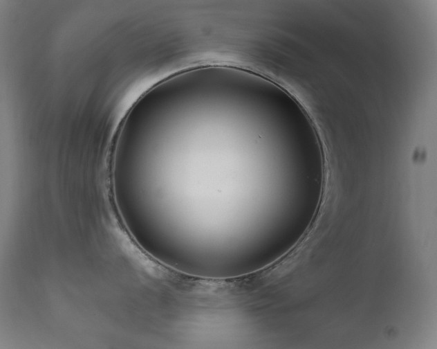 X0000111821056200907231313