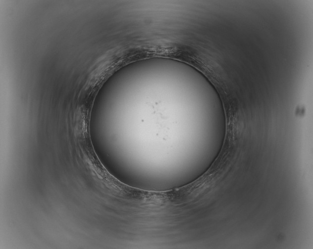 X0000111821058200907231313