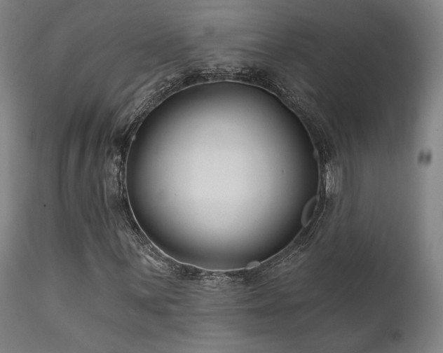 X0000111821059200907231313
