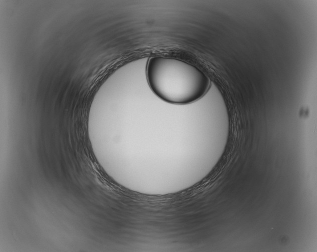 X0000111821060200907231313