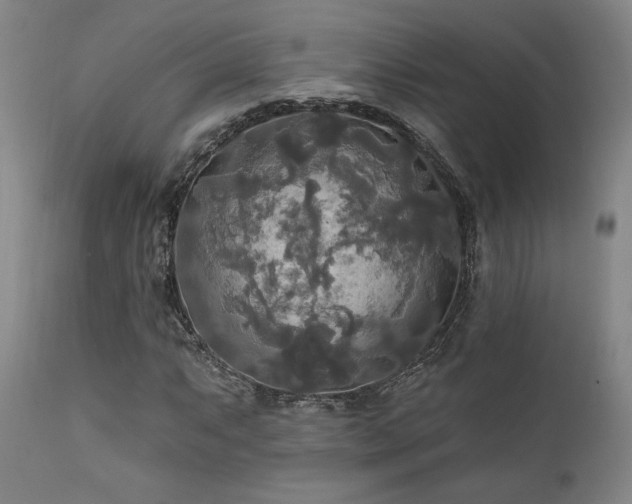 X0000111821063200907231313