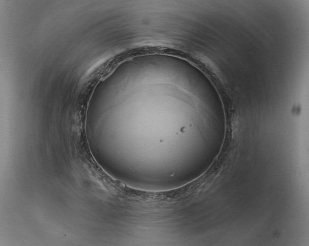 X0000111821064200907231313