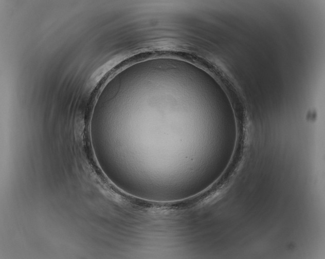 X0000111821065200907231312