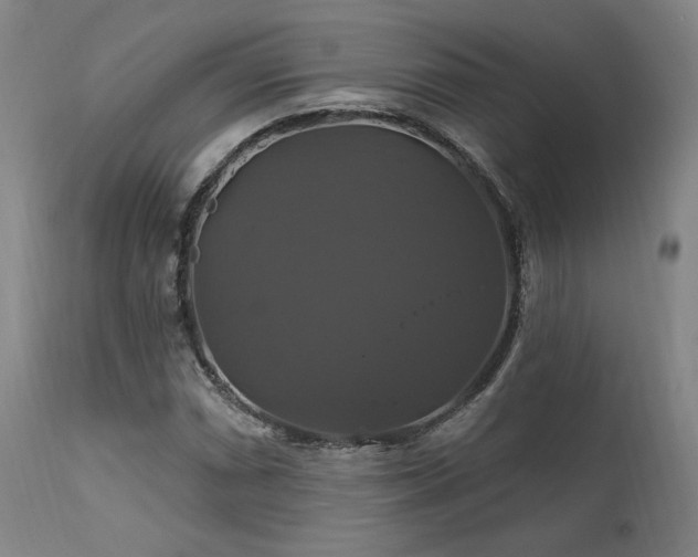 X0000111821066200907231312