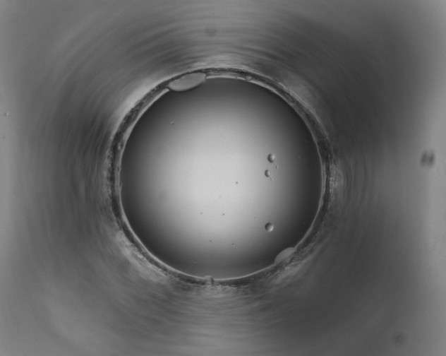X0000111821068200907231312