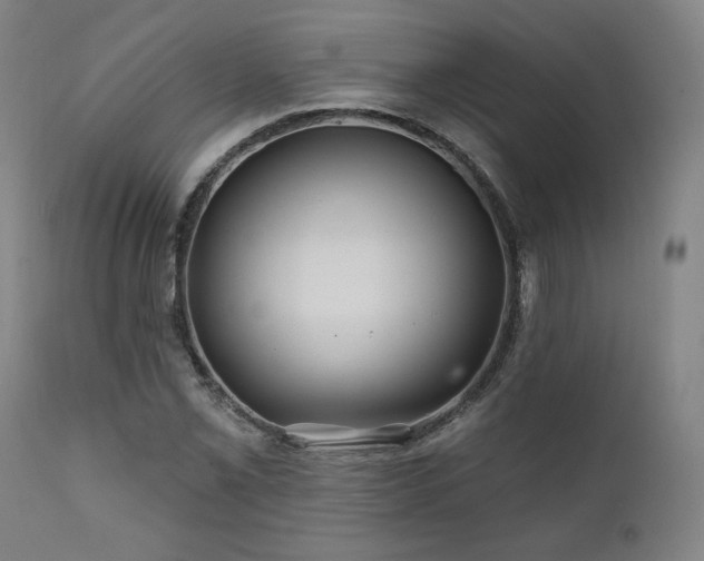 X0000111821069200907231312