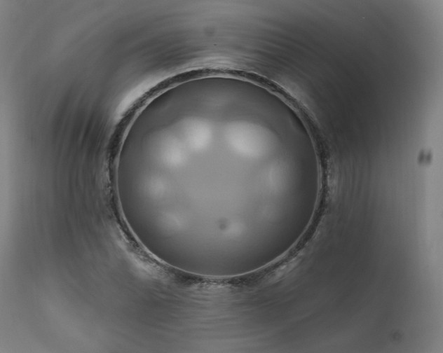 X0000111821070200907231312