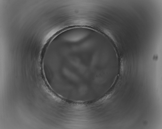 X0000111821071200907231312