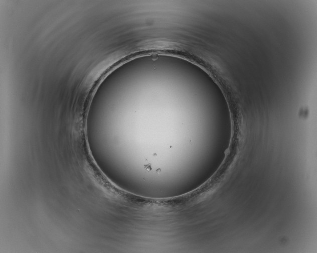 X0000111821073200907231312