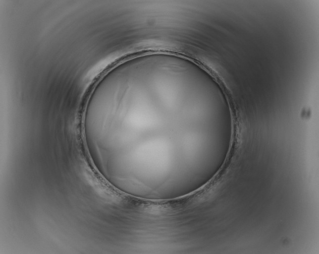 X0000111821074200907231312