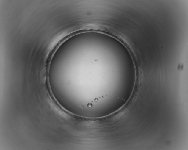 X0000111821075200907231312
