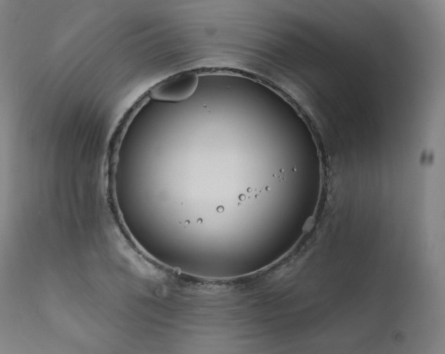 X0000111821076200907231312