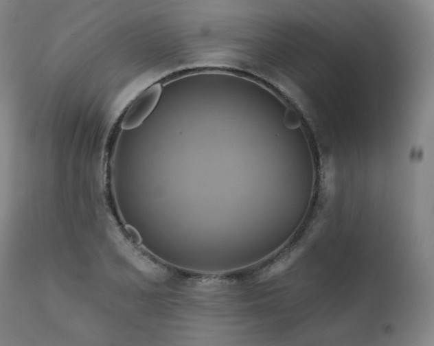 X0000111821077200907231312