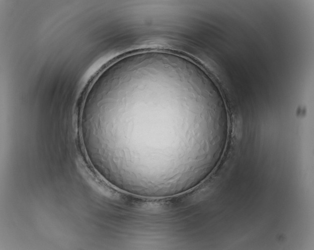 X0000111821078200907231312