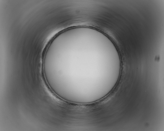 X0000111821079200907231312