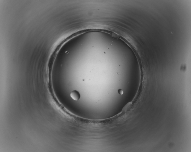 X0000111821080200907231312