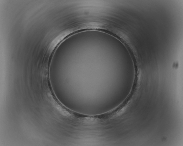 X0000111821081200907231312