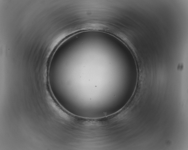 X0000111821083200907231312