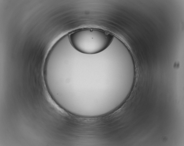 X0000111821084200907231312