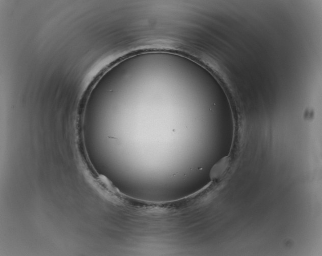 X0000111821085200907231312
