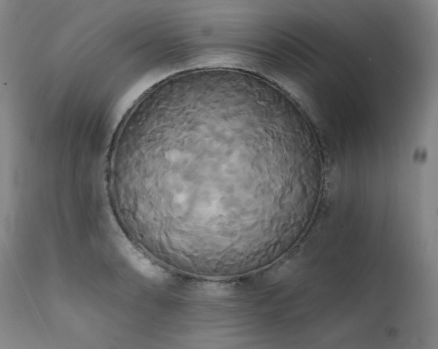 X0000111821086200907231312