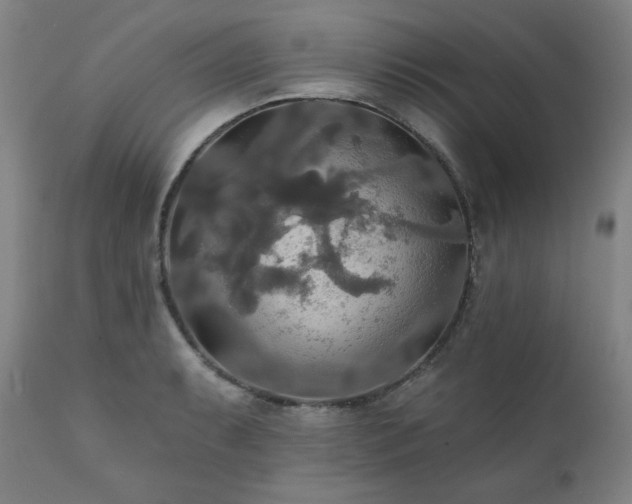 X0000111821087200907231312