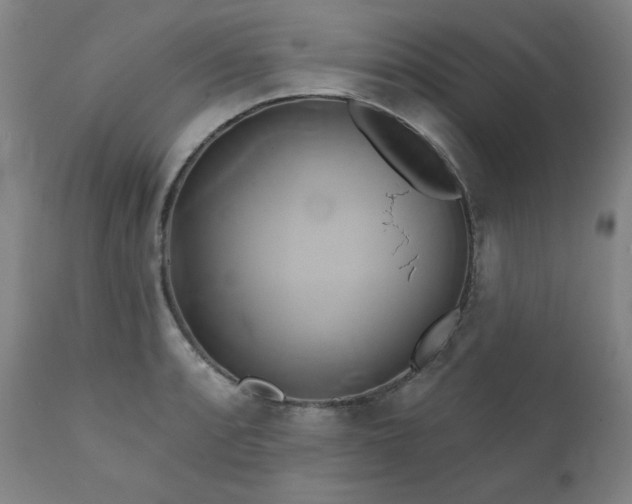 X0000111821088200907231312
