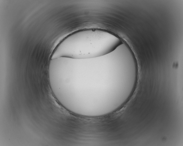 X0000111821089200907231312
