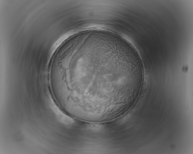 X0000111821090200907231312