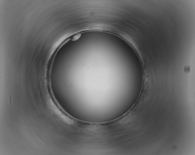 X0000111821091200907231312