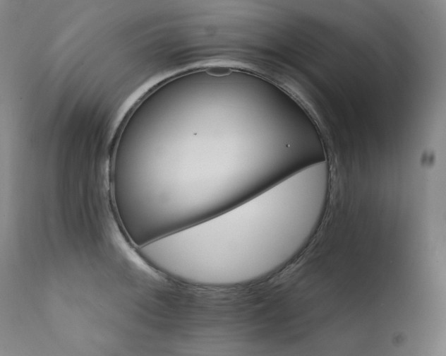 X0000111821092200907231312