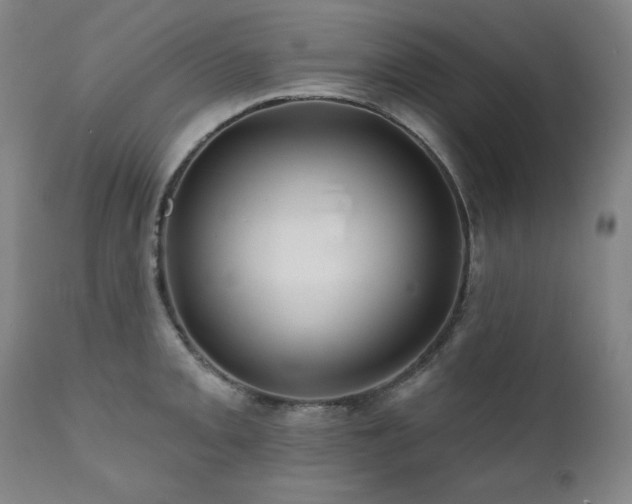 X0000111821093200907231312