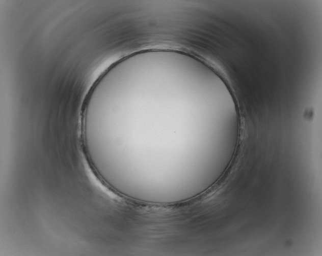 X0000111821095200907231312