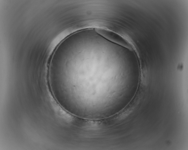 X0000111821096200907231312