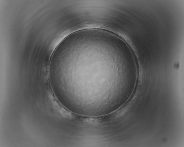 X0000111821097200907231312